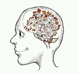 Animated line-drawing side profile of a head, with a tangle of branches in the brain that slowly lets its autumn leaves fall.