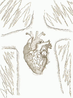 Animated line-drawing of a chest and anatomical heart flanked by shafts of light and darkness, which fill in and deepen as the heart begins to glow.
